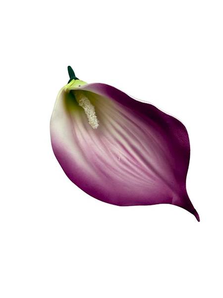 Kalia główka 14 cm purpurowa 4 SZTUKI