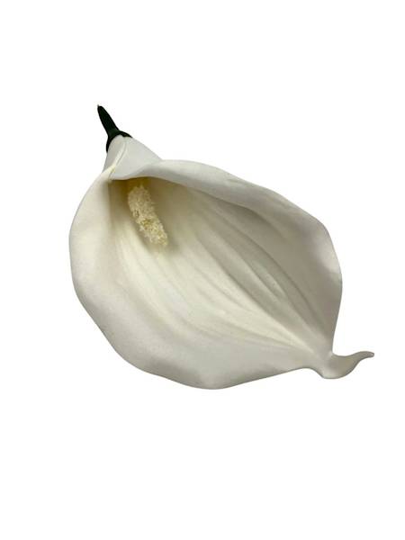 Kalia główka 14 cm biała