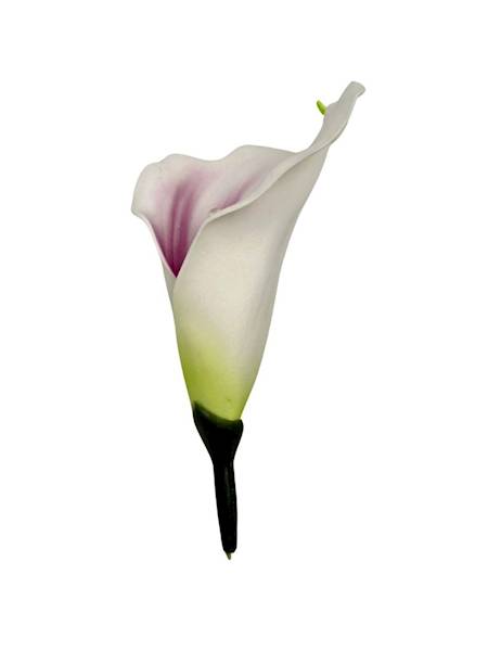 Kalia główka 14 cm biało purpurowa 4 SZTUKI