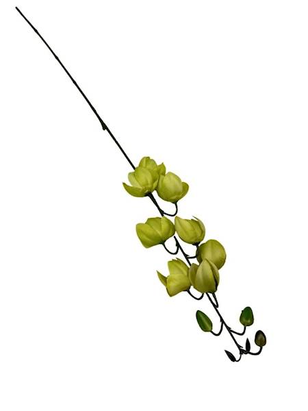 Juka gałązka 84 cm zielona