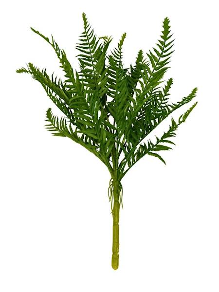 Paproć bukiet 55 cm