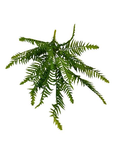 Paproć bukiet 55 cm