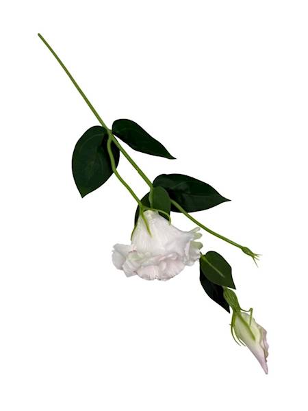 Eustoma gałązka 48 cm perłowa