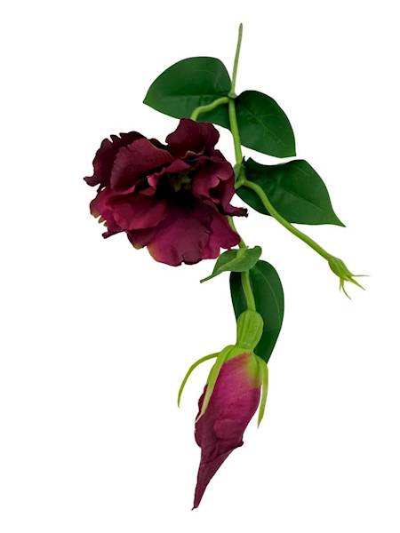 Eustoma gałązka 48 cm bordo