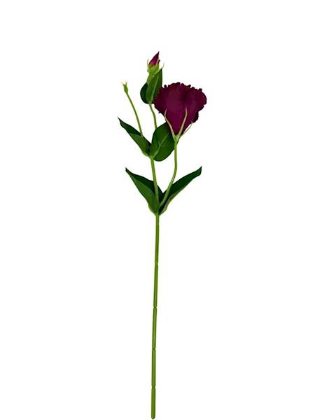 Eustoma gałązka 48 cm bordo