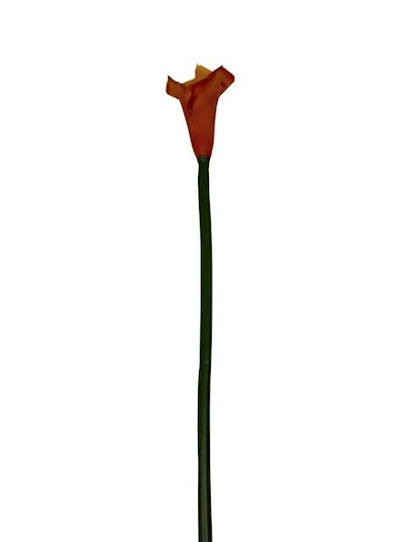 Kalia gumowa 70 cm toffi