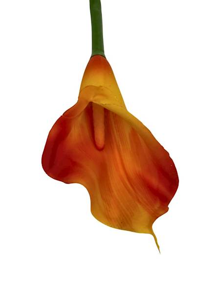 Kalia gumowa 70 cm żółto pomarańczowa