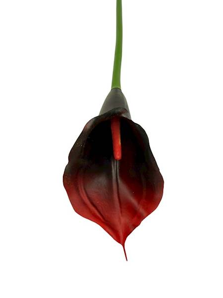 Kalia gumowa 70 czarno czerwona