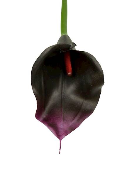 Kalia gumowa 70 cm czarno fioletowa