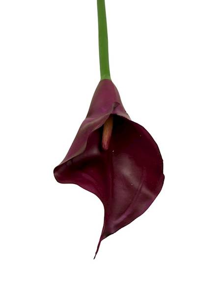 Kalia gumowa 70 cm fuksja