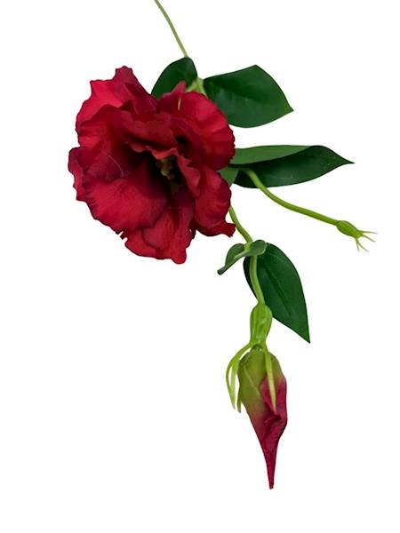 Eustoma gałązka 48 cm czerwona