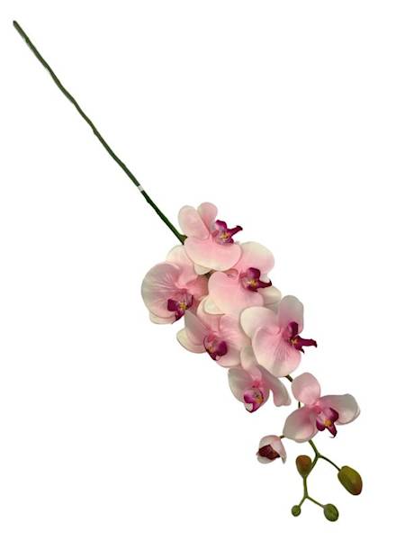 Storczyk gałązka 98 cm jasny róż i kremowy