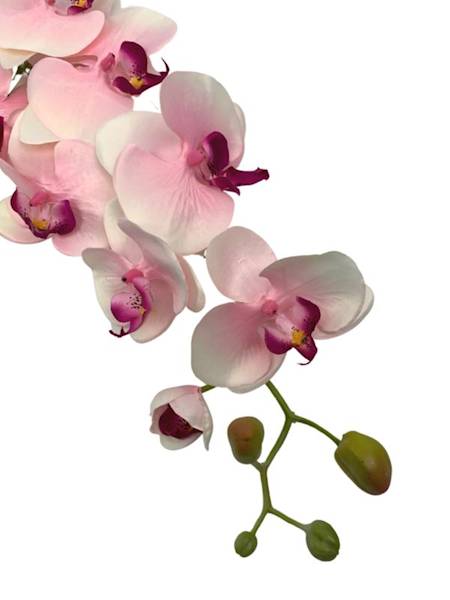 Storczyk gałązka 98 cm jasny róż i kremowy