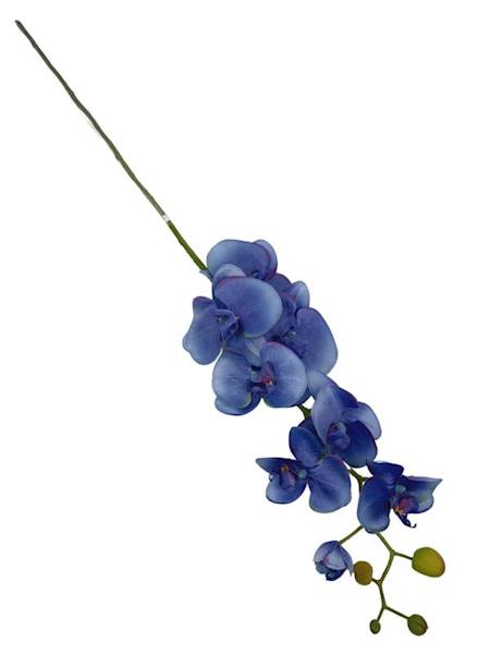 Storczyk gałązka 98 cm niebieski