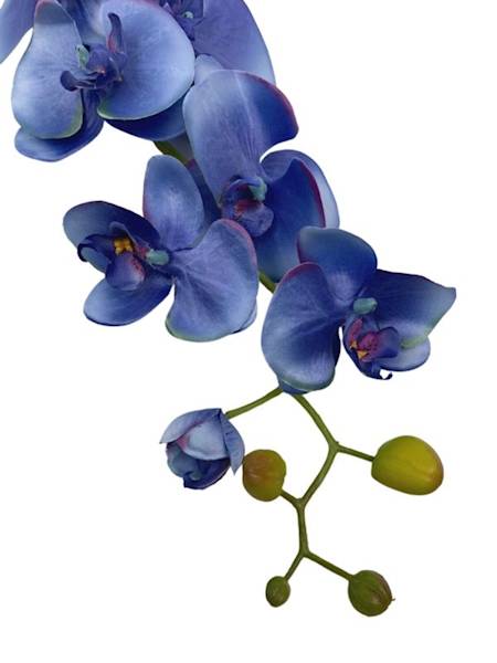 Storczyk gałązka 98 cm niebieski