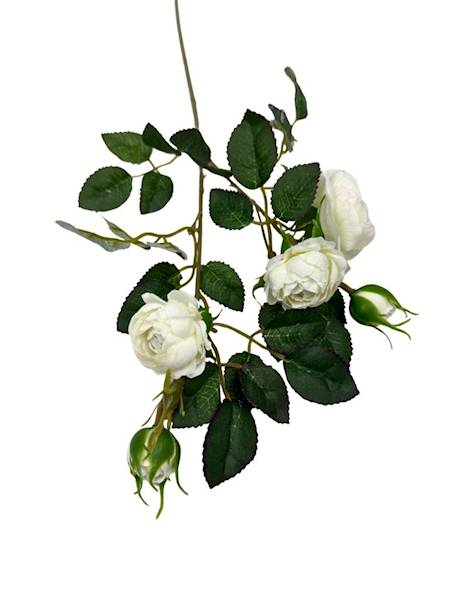 Róża gałązka 50 cm biała / jasno kremowa