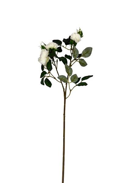 Róża gałązka 50 cm biała / jasno kremowa