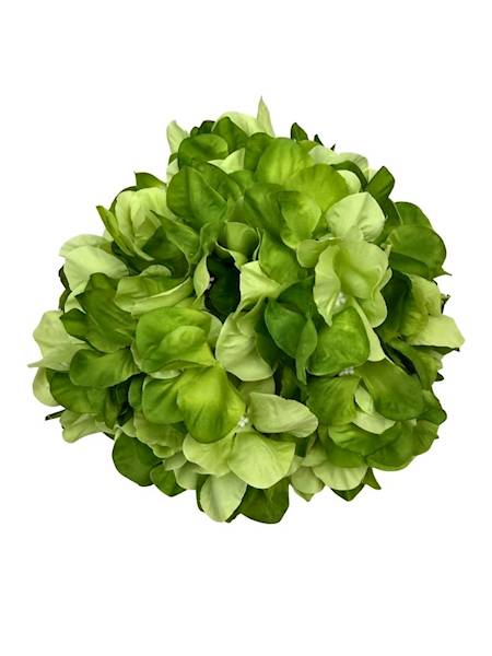 Hortensja XL główka 23 cm zielona