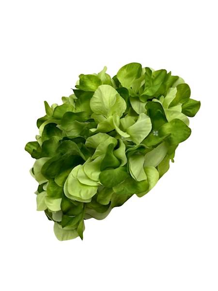 Hortensja XL główka 23 cm zielona