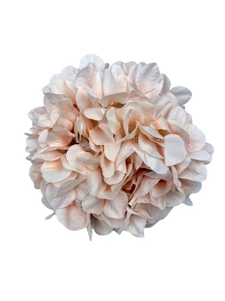 Hortensja XL główka 23 cm delikatna brzoskwinia