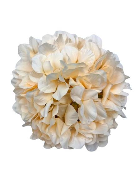 Hortensja XL główka 23 cm waniliowa