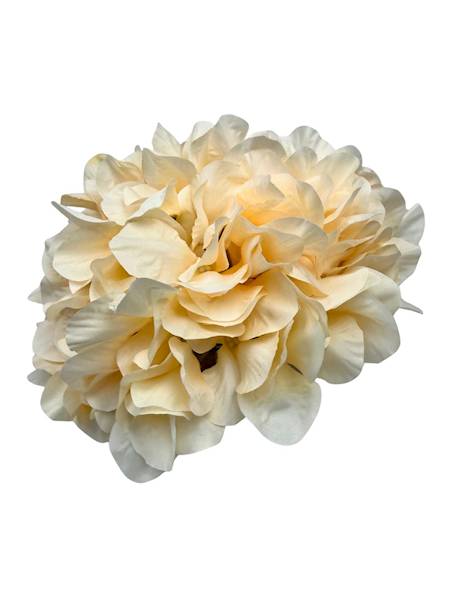 Hortensja XL główka 23 cm waniliowa