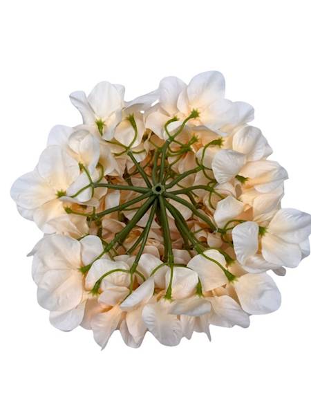 Hortensja XL główka 23 cm waniliowa