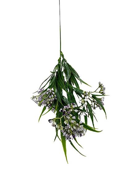 Chlorofitum dodatek 44 cm jasny fiolet