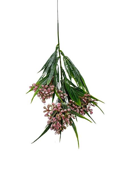 Chlorofitum dodatek 44 cm jasny róż