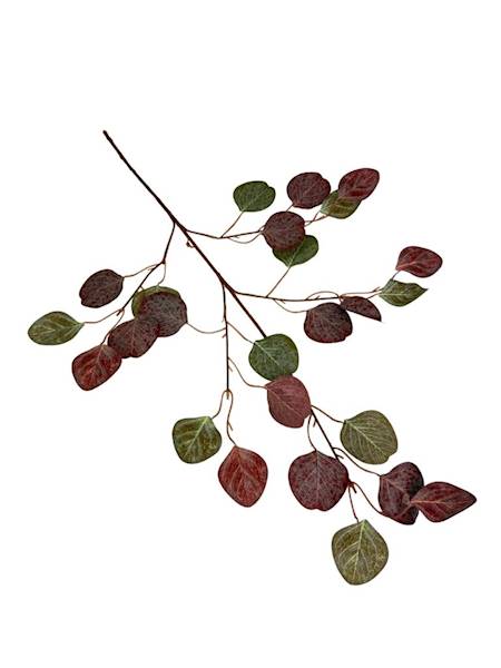 Eukaliptus liść brązowy gałązka 63 cm