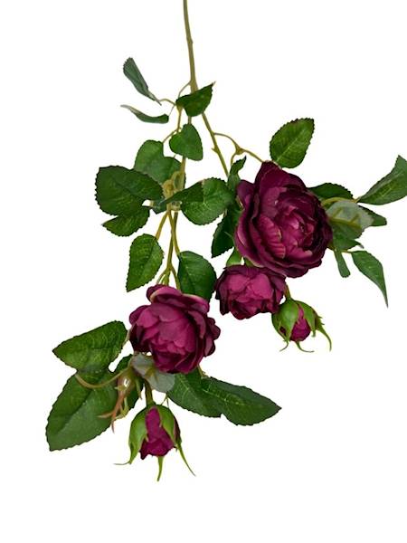 Róża gałązka 50 cm ciemna fuksja