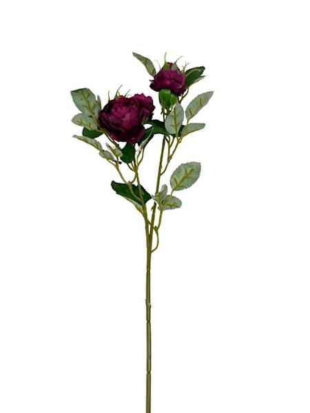 Róża gałązka 50 cm ciemna fuksja