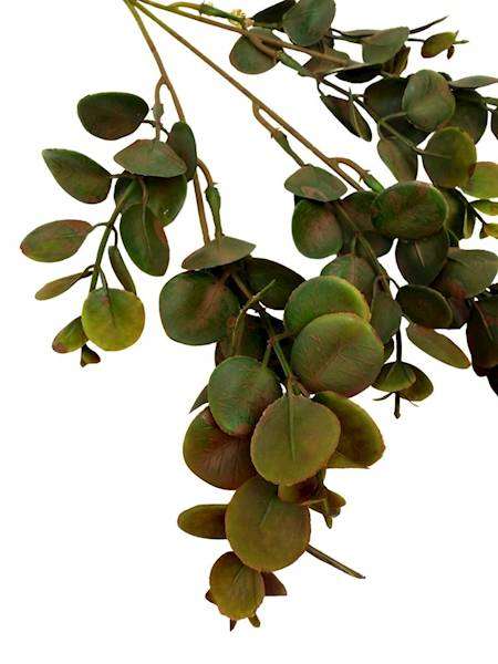 Eukaliptus gałązka plastikowa 49 cm brąz