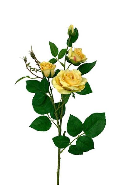 Róża gałązka 77 cm jasno żółta