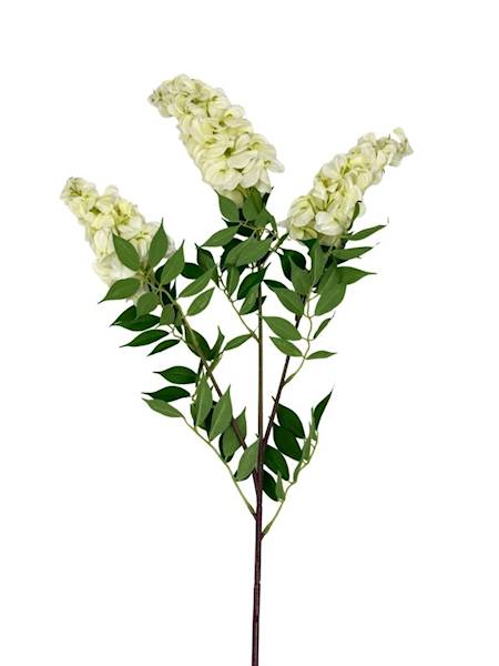 Wisteria zwis gałązka 98 cm biała