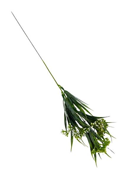 Chlorofitum dodatek 44 cm biało zielony