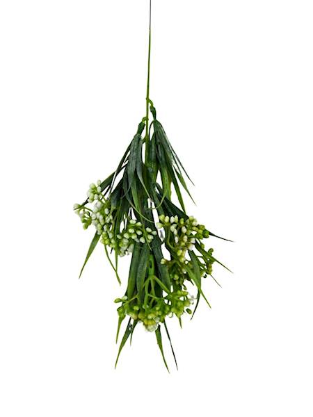 Chlorofitum dodatek 44 cm biało zielony