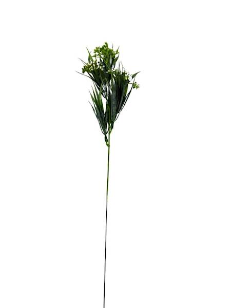Chlorofitum dodatek 44 cm biało zielony