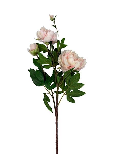 Piwonia gałązka 114 cm brzoskwinia i jasny róż