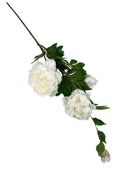 Piwonia gałązka 114 cm biała