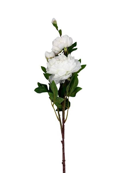 Piwonia gałązka 114 cm biała