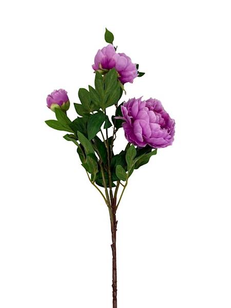 Piwonia gałązka 114 cm fiolet