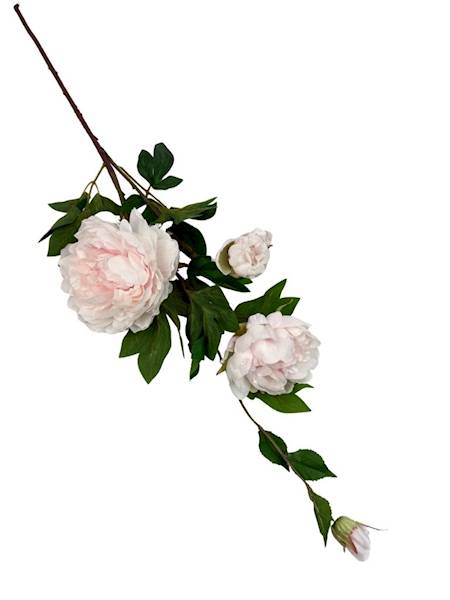 Piwonia gałązka 114 cm krem i jasny róż