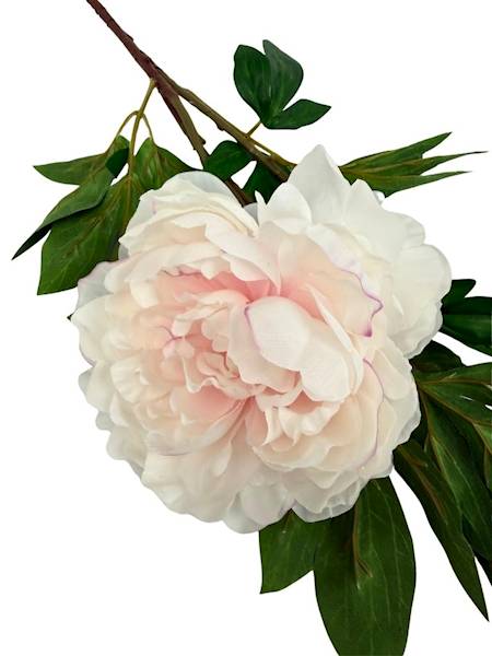 Piwonia gałązka 114 cm krem i jasny róż