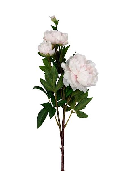 Piwonia gałązka 114 cm krem i jasny róż