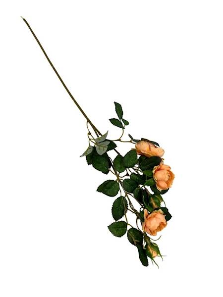 Róża gałązka 50 cm herbaciana