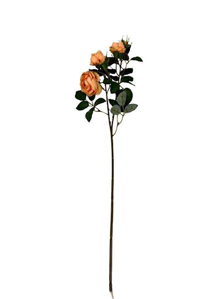 Róża gałązka 50 cm herbaciana