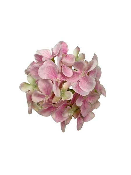 Hortensja główka 10 cm jasny róż 2 SZTUKI