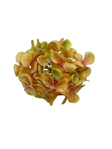 Hortensja główka 10 cm żółta 2 SZTUKI