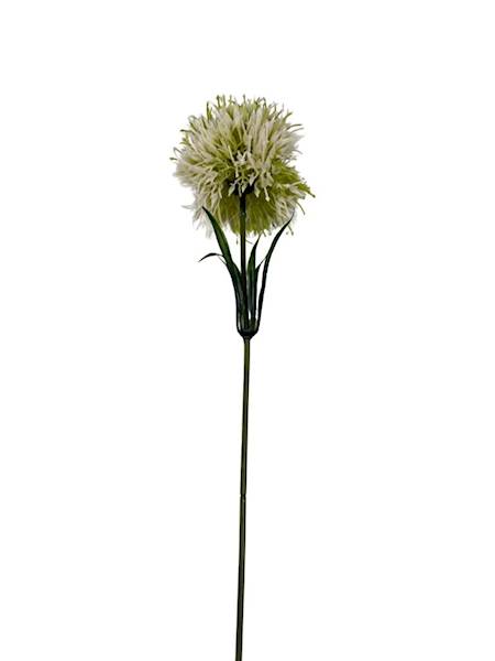 Czosnek gałązka 50 cm biały